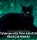 U.S. Cybersecurity Pros Admit Role in BlackCat Attacks